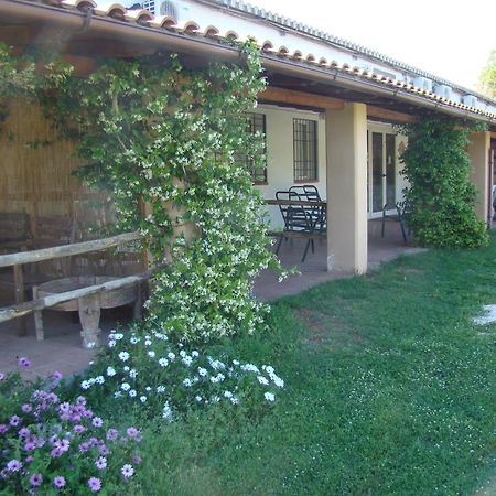 Borgo S.Maria Di Vulci Guest House Montalto di Castro Exterior foto