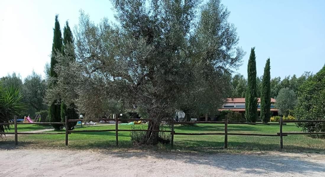Borgo S.Maria Di Vulci Guest House Montalto di Castro Exterior foto